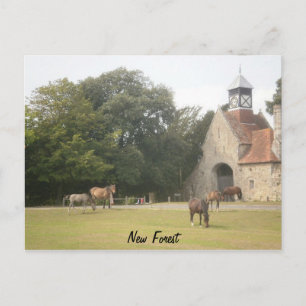 New Forest Hampshire Vykort
