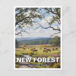 New Forest National Park Travel Vykort