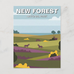 New Forest National Park Travel Vykort