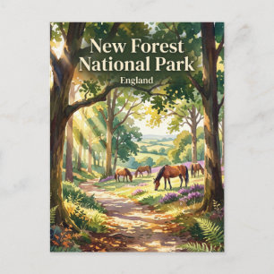 New Forest Nationalpark Storbritannien Vykort