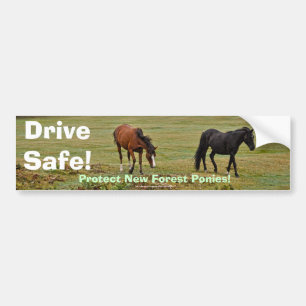New Forest Ponies of Hampshire England Bildekal