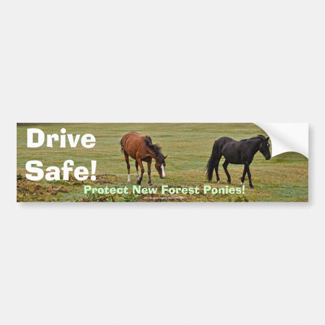 New Forest Ponies of Hampshire England Bildekal (Framsidan)