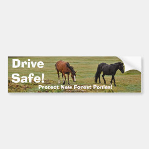 New Forest Ponies of Hampshire England Bildekal