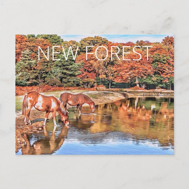 New Forest Ponies Vykort (Framsida)