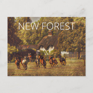New Forest Ponies Vykort