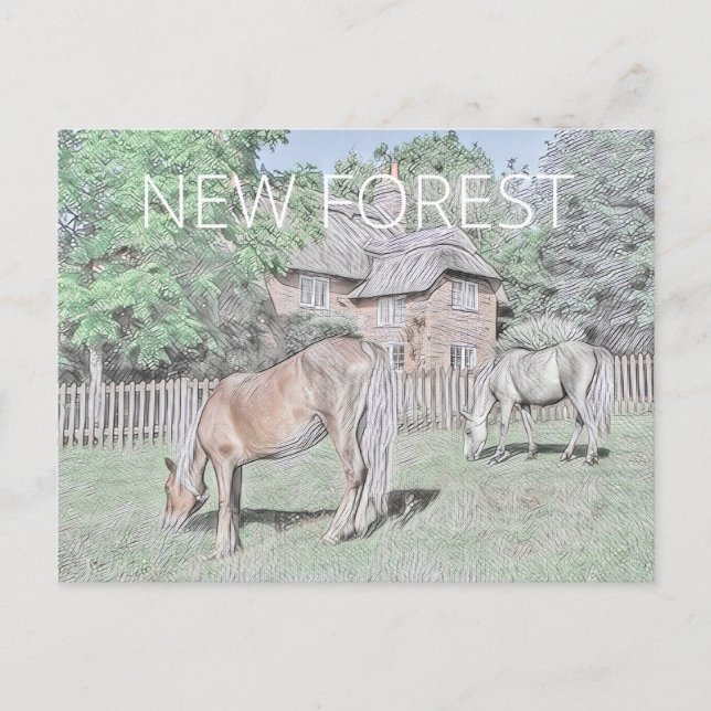 New Forest Ponies Vykort (Framsida)