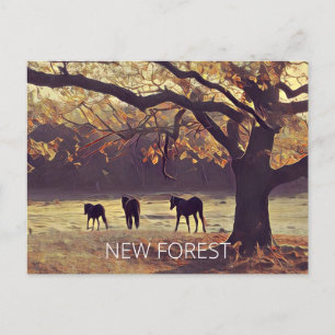 New Forest Ponies Vykort