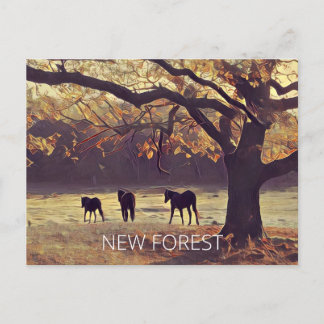 New Forest Ponies Vykort