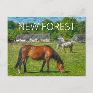 New Forest Ponies Vykort