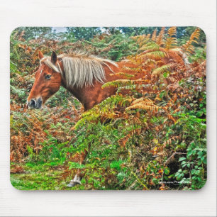 New Forest Pony & Bracken for Horse-älskare Musmatta
