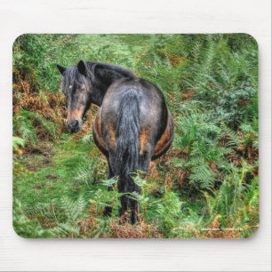 New Forest Pony & Bracken for Horse-älskare Musmatta