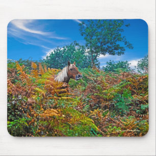 New Forest Pony & Bracken for Horse-älskare Musmatta