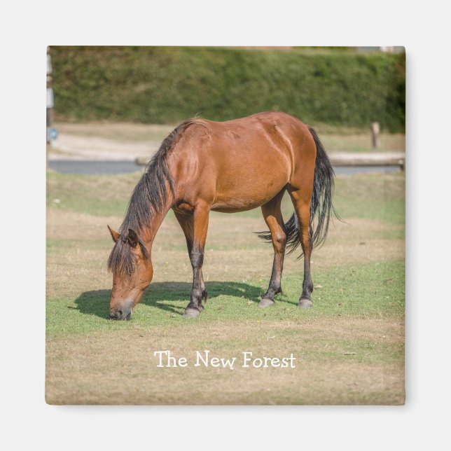 New Forest Pony Magnet (Framsidan)