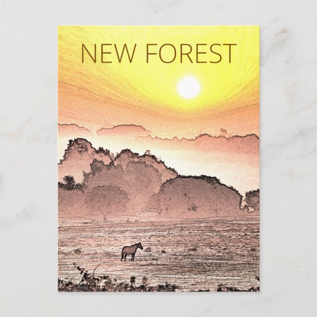 New Forest Pony vid Sunrise Vykort (Framsida)