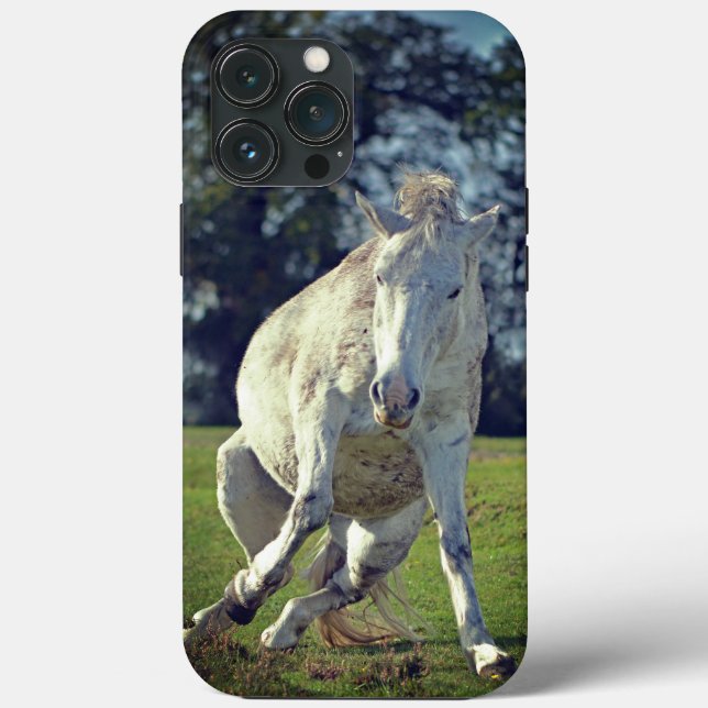 New Forest White Pony Funny Pose (Baksida)