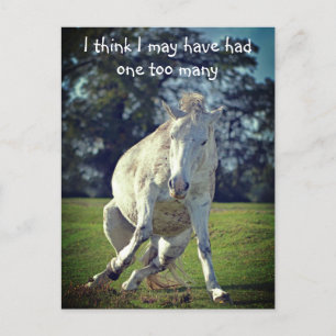 New Forest White Pony Funny Pose Vykort