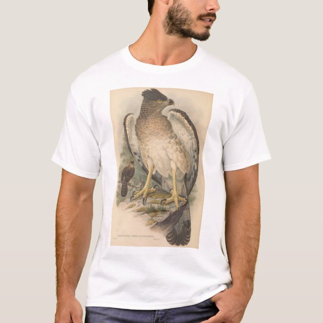 New Guinea Eagle, vuxen T Shirt (Framsida)