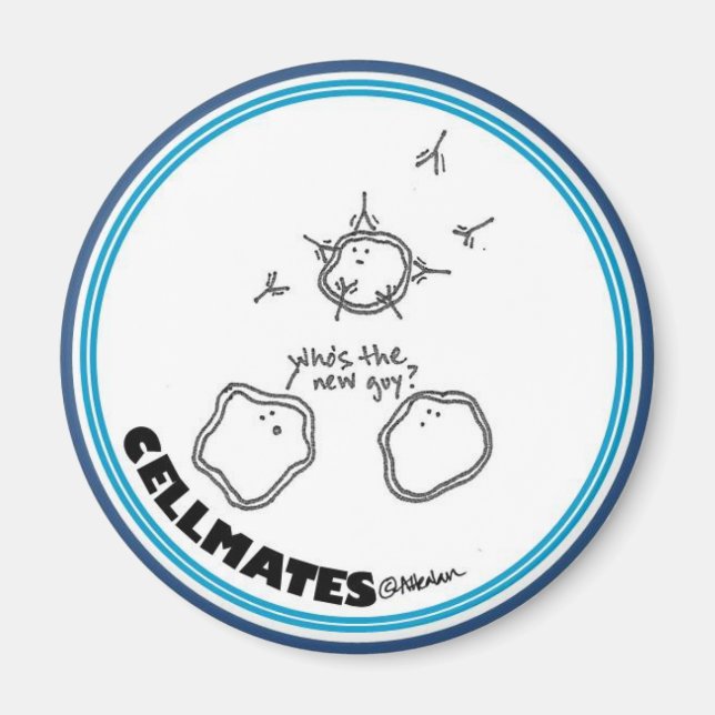 New guy magnet (Framsidan)