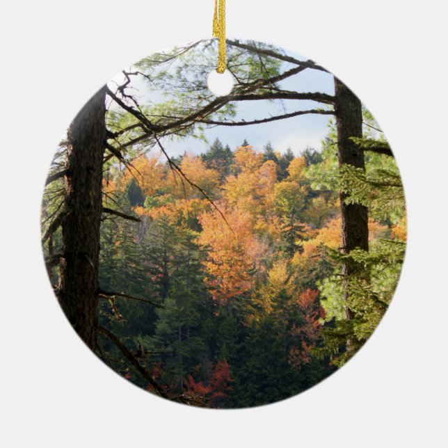 New Hampshire 7729 Ornament (Baksidan)