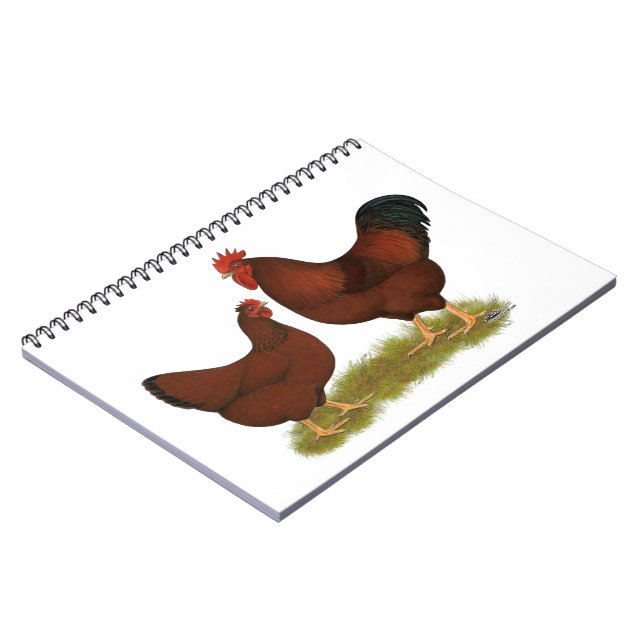 New Hampshire  Anteckningsbok (Vänstra Sidan)