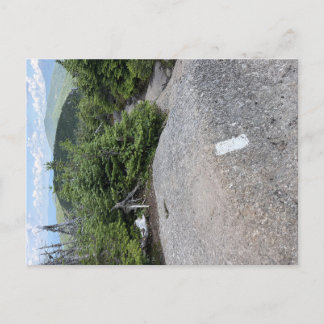 New Hampshire Appalachian Trail vykort