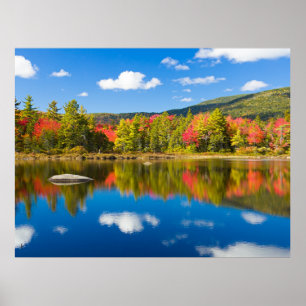 New Hampshire, Autumn Färg Poster