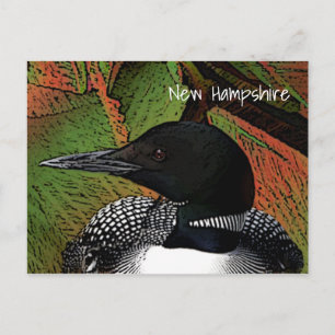 New Hampshire Common Loon Vykort