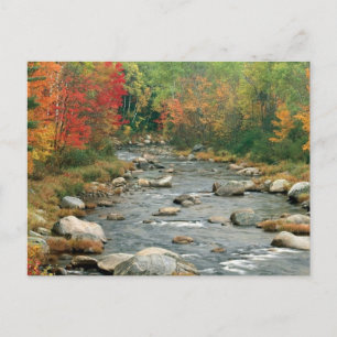 New Hampshire Fall Vykort