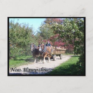 New Hampshire hayride Vykort