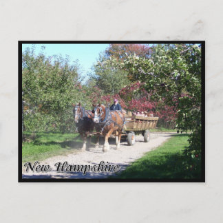 New Hampshire hayride Vykort