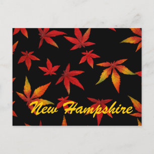 New Hampshire Höst löv Postcard Vykort
