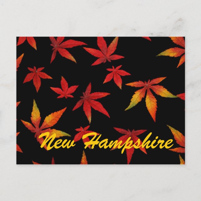New Hampshire Höst löv Postcard Vykort (Framsida)