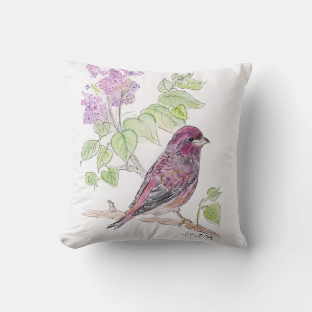 New Hampshire Kudde (Framsida)