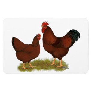 New Hampshire Magnet