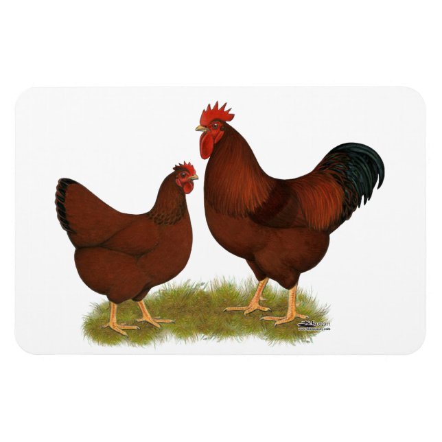 New Hampshire  Magnet (Horisontell)