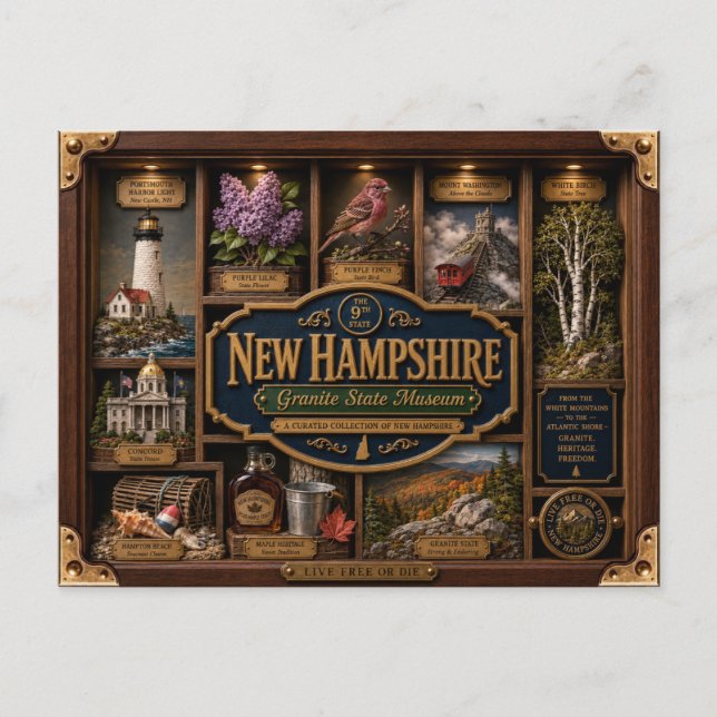 New Hampshire Shadow Box 3D Figurin Delstat Vykort (Framsida)