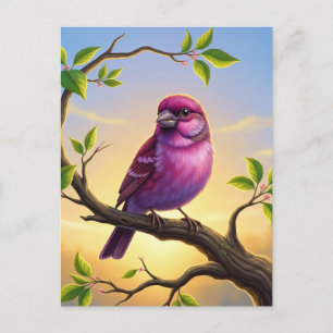New Hampshire State Bird Lila Finch Vykort
