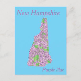 New Hampshire State Flower Collage Karta Vykort