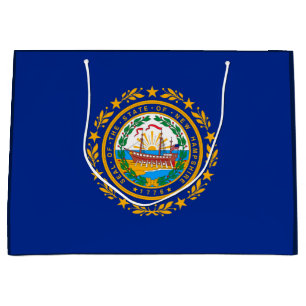 New Hampshire Statlig flagga Design