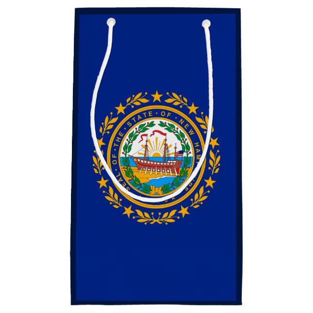 New Hampshire Statlig flagga Design (Framsidan)