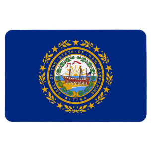 New Hampshire statlig flagga Magnet