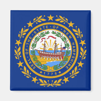 New Hampshire Statlig flagga Magnet