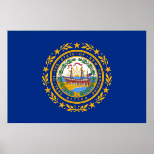 New Hampshire statlig flagga Poster