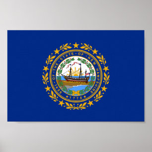 New Hampshire Statlig flagga Poster