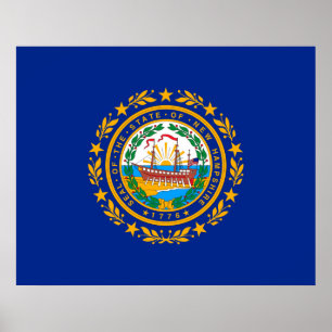 New Hampshire statlig flaggadesign Poster