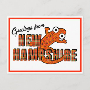 New Hampshire Statssymbol Rödfläckig vattensalaman Vykort