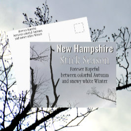 New Hampshire Stick-säsong New England Foto Vykort