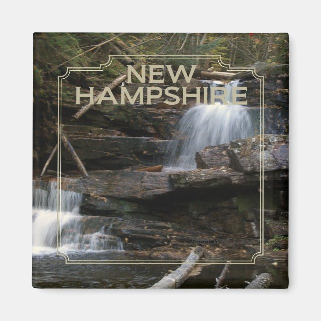 New Hampshire USA State Souvenir Fridge Magnet (Framsidan)