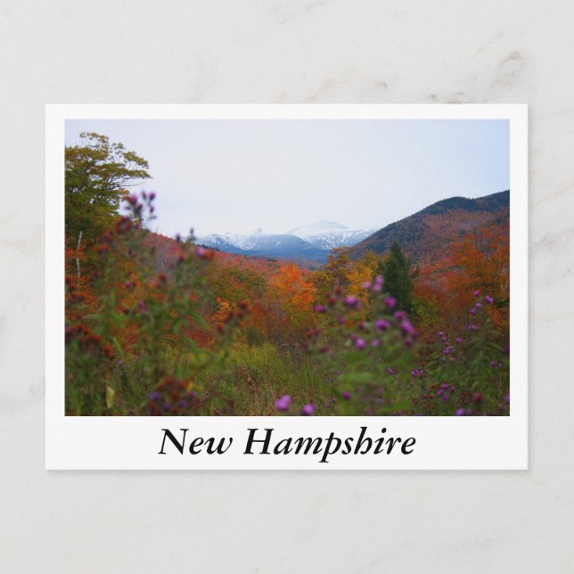 New Hampshire Vykort (Framsida)