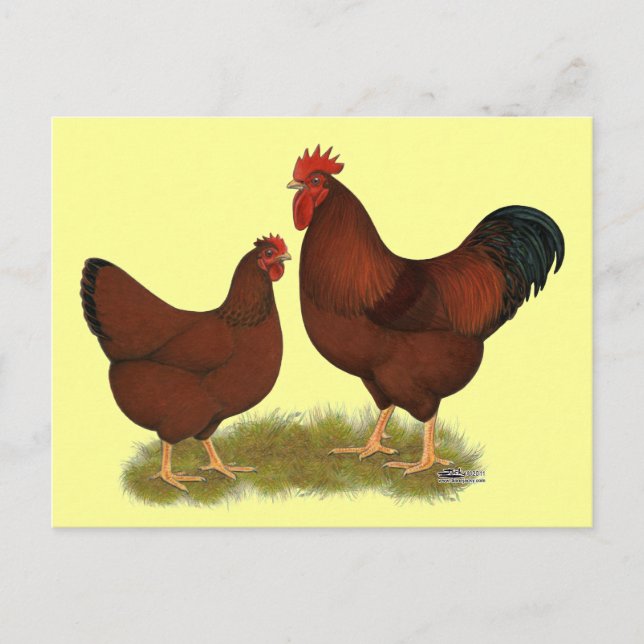 New Hampshire  Vykort (Framsida)